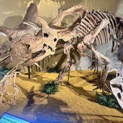 Wyoming Dinosaur Center