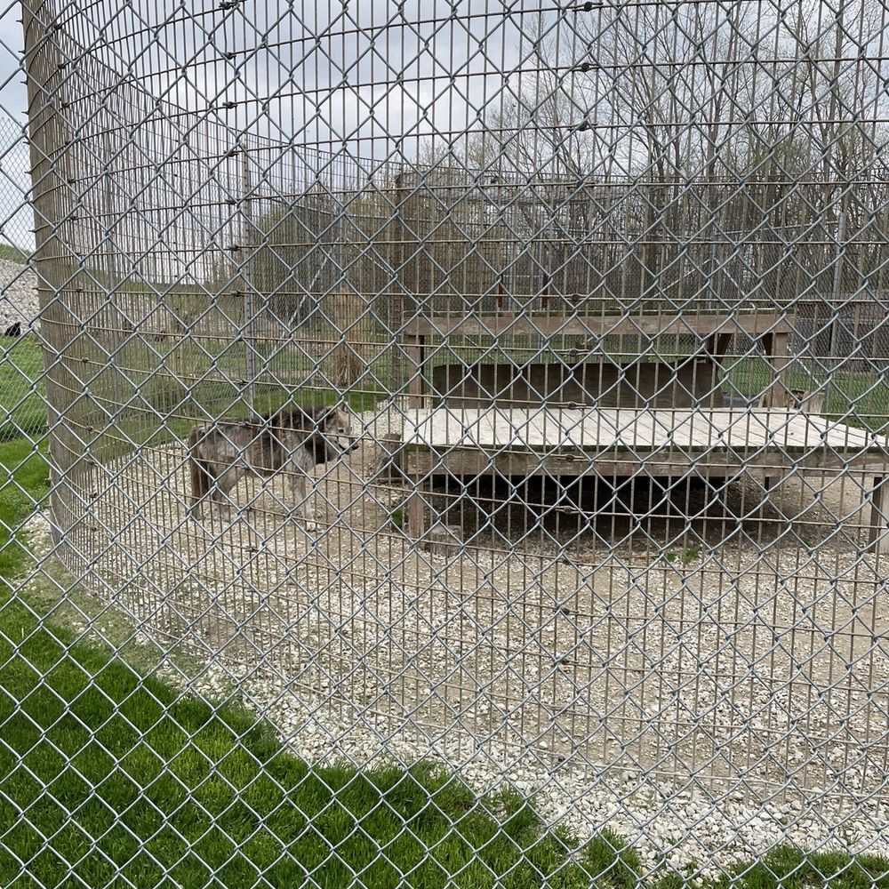 Big Run Wolf Ranch - Education Near Me - Lockport, Illinois