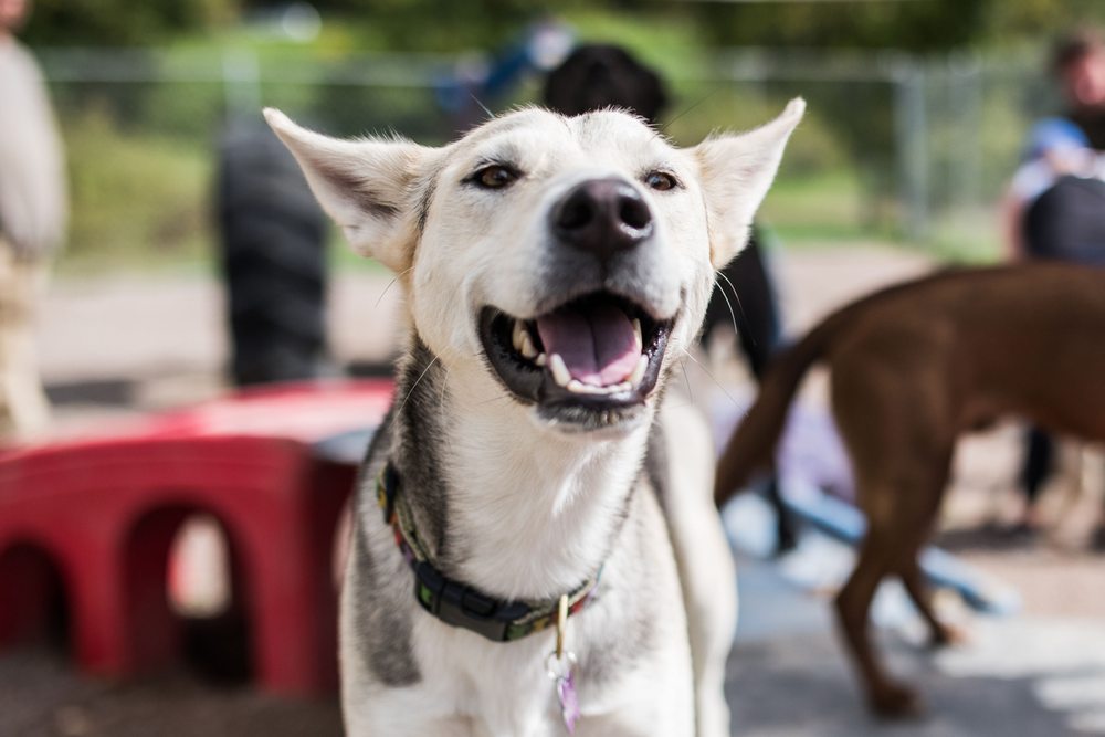 THE CRATE ESCAPE Updated August 2024 19 Photos 1108 W Main St