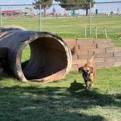 Winslow Dog Park