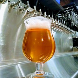 High Brau Taphouse