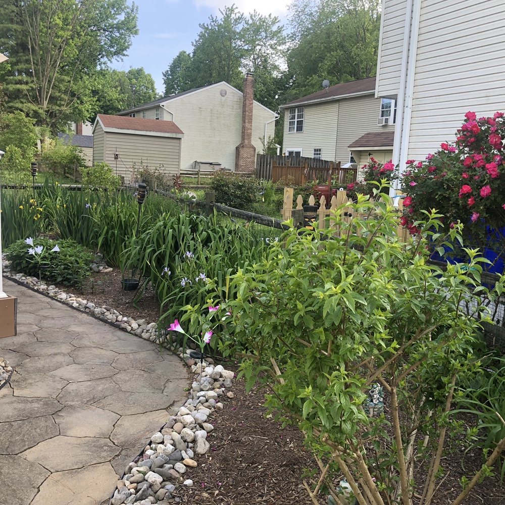 Village Gardens - Updated plants - Nurseries & Gardening Near Me - Westminster, Maryland