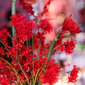 Ampersand - Florists Near Me - San Francisco, California Ampersand - Florists Near Me - San Francisco, California