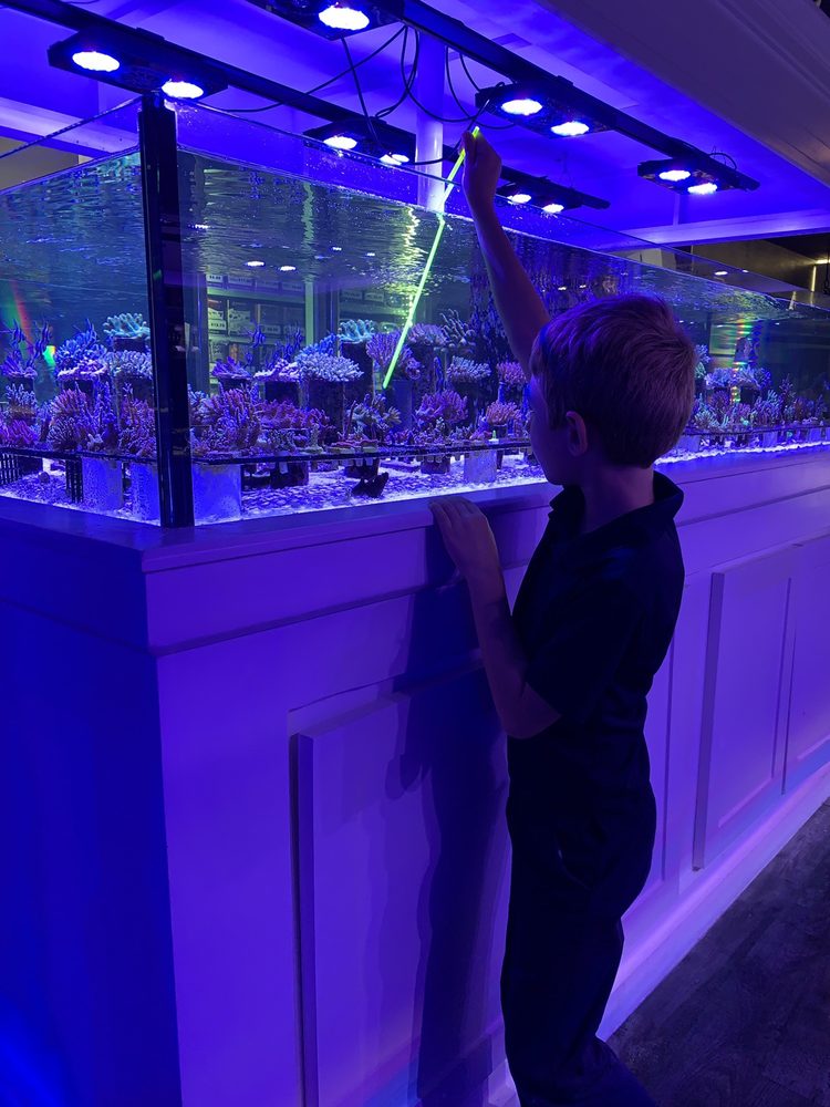 THE AQUARIUM KING 32 Photos & 16 Reviews 993 W State Rd 84, Fort Lauderdale, FL Yelp