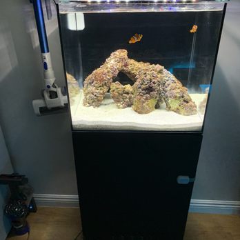 The Pet Depot - Water so clean - Pet Stores Near Me - Ocean Pointe, Hawaii
