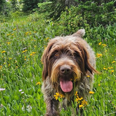 Brighton Recovery Center