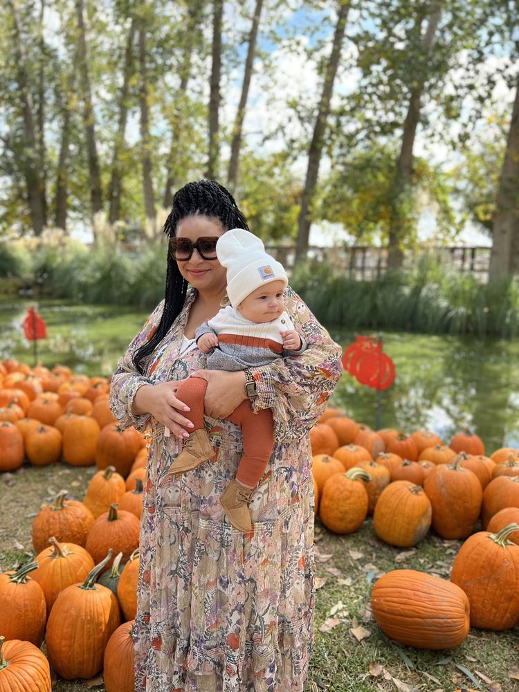 BANDUCCI’S FAMILY PUMPKIN PATCH 80 Photos & 42 Reviews 10747 Taft