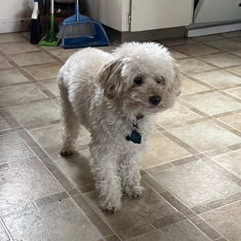PetSmart - Bath disappointment - Pet Stores Near Me - Portland, Oregon