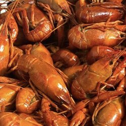 Crawfish House