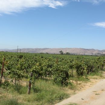 La Casa de Doña Lupe - Wineries Near Me - Ensenada, BCN