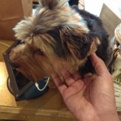 Besselli - Beselli's guard dog. Murph, I think...