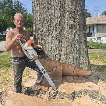 Precision Tree Service - Tree Services Near Me