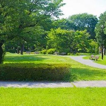Quality Turf - untitled - Landscaping Near Me - Burgaw, North Carolina Quality Turf - untitled - Landscaping Near Me - Burgaw, North Carolina