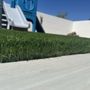 Photo of SYNlawn Kern County