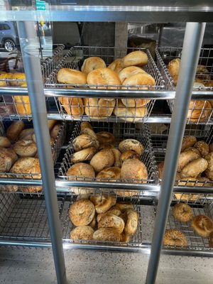 Have A Bagel by null