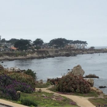 Borg's Ocean Front Motel - The view from our room - Hotels Near Me - Pacific Grove, California Borg's Ocean Front Motel - The view from our room - Hotels Near Me - Pacific Grove, California