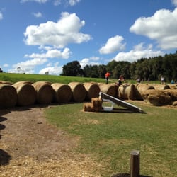 Coon Hollo Farm