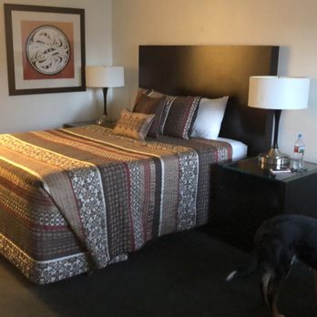 Cougar Land Motel - Hotels Near Me - Pullman, Washington