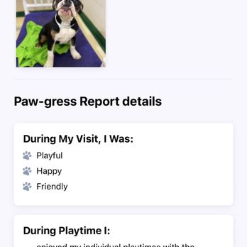 PetSuites Greenwood - Paw-gress report - Pet Groomers Near Me - Greenwood, Indiana PetSuites Greenwood - Paw-gress report - Pet Groomers Near Me - Greenwood, Indiana