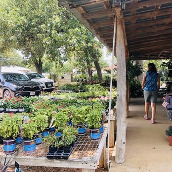 Friendly Natives - Nursery - Nurseries & Gardening Near Me - Fredericksburg, Texas