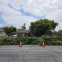 Photo of Montes Tree Service