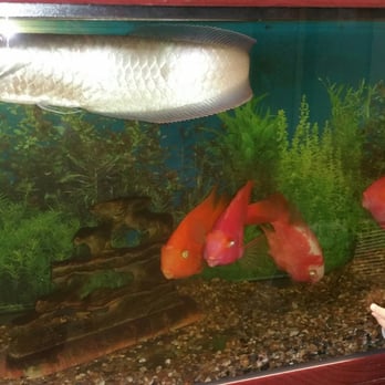 Whittier Pediatric Group - Big fish in a small pond! - Pediatricians Near Me - Whittier, California Whittier Pediatric Group - Big fish in a small pond! - Pediatricians Near Me - Whittier, California