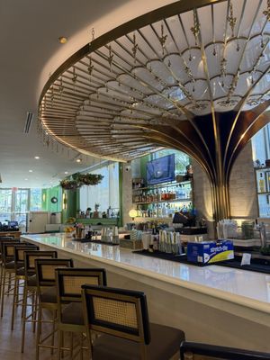 Dok Khao Thai (Chevy Chase) by null