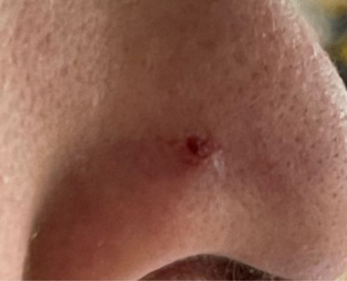 Wolf's Fine Line Tattoos