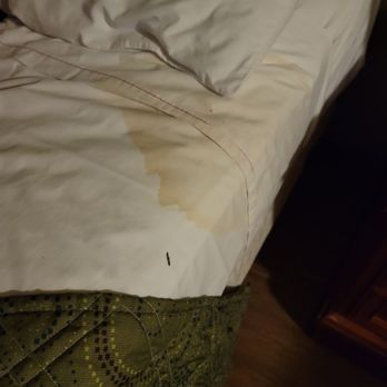 AMERICAS BEST VALUE INN PAULS VALLEY - Updated December 2024 - 29