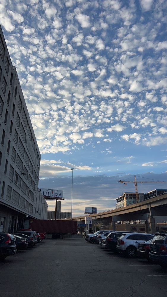 MERS GOODWILL OUTLET Updated November 2024 36 Photos & 61 Reviews