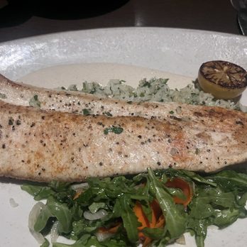 Coasterra - Trout - Mexican Near Me - San Diego, California Coasterra - Trout - Mexican Near Me - San Diego, California