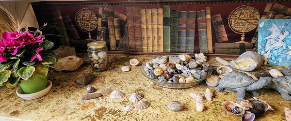 Nye Beach Book House LLC by null