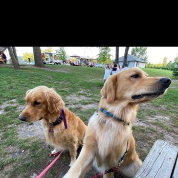 Northland Brewing - Outdoor dog friendly - Breweries Near Me - Indian River, Michigan Northland Brewing - Outdoor dog friendly - Breweries Near Me - Indian River, Michigan