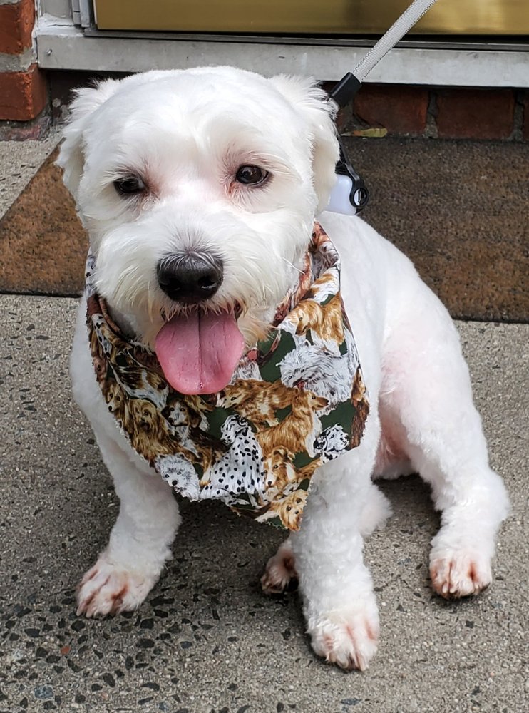 PAWZ & CLAWZ PET GROOMING Updated September 2024 25415 Northern