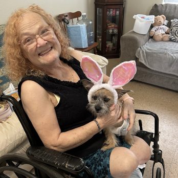 Pooches Corner - Pet Groomers Near Me - Harlingen, Texas Pooches Corner - Pet Groomers Near Me - Harlingen, Texas