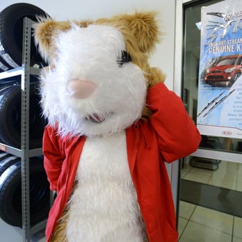 Paramount Kia of Hickory - KIA Hampster at Paramount KIA Hickory! - Car Dealers Near Me - Hickory, North Carolina Paramount Kia of Hickory - KIA Hampster at Paramount KIA Hickory! - Car Dealers Near Me - Hickory, North Carolina