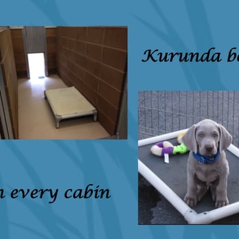 Two Ponds Pet Lodge - Pet Groomers Near Me - Arvada, Colorado Two Ponds Pet Lodge - Pet Groomers Near Me - Arvada, Colorado