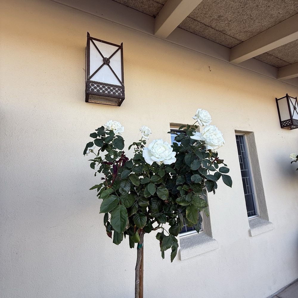 Saint Frances Cabrini Parish - August 2025 - Churches Near Me - San Jose, California