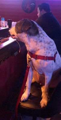 Red's Icehouse by null