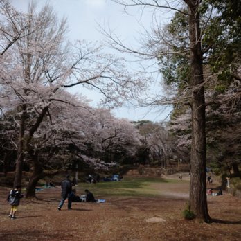 里見公園 25 Photos Parks 国府台3 9 市川市 千葉県 Japan Yelp