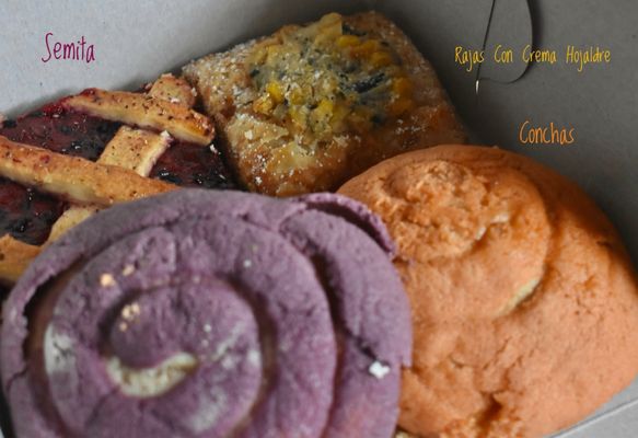 Pan de La Selva by null Pan de La Selva by null