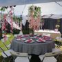 Photo of Event Kaboodles