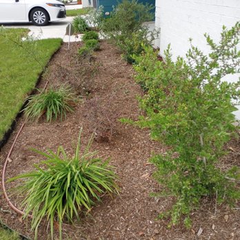 Del Valle Tree Service - Front yard after - Tree Services Near Me - Del Valle, Texas Del Valle Tree Service - Front yard after - Tree Services Near Me - Del Valle, Texas