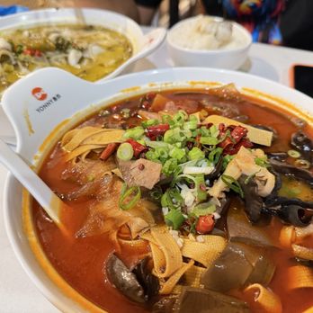 Yonny - Food was really good. Everything was fresh and flavorful, and the portions were solid. Would definitely come back. - Chinese Near Me - Irvine, California Yonny - Food was really good. Everything was fresh and flavorful, and the portions were solid. Would definitely come back. - Chinese Near Me - Irvine, California