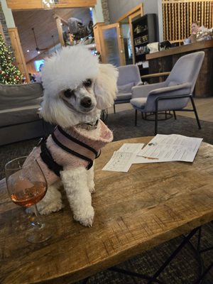 Barrel Oak Winery and Brewery by null