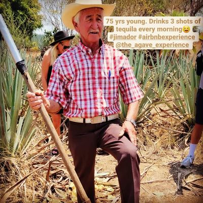 The Agave Experience by null