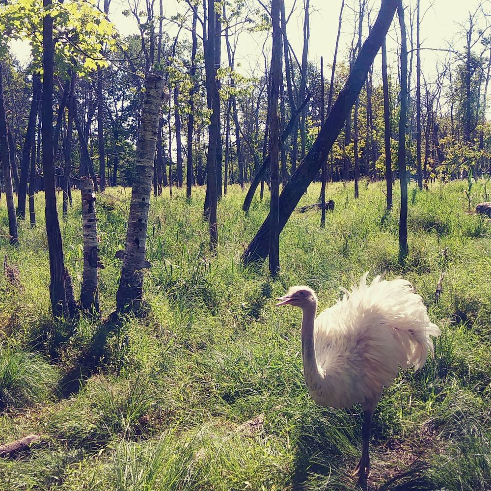 Shalom Wildlife Sanctuary - Parks Near Me - West Bend, Wisconsin