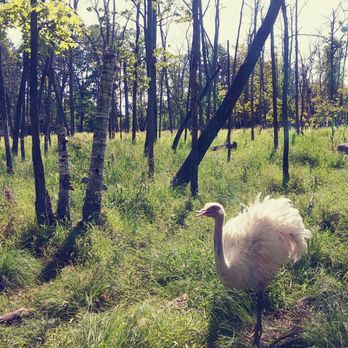 Shalom Wildlife Sanctuary - Parks Near Me - West Bend, Wisconsin