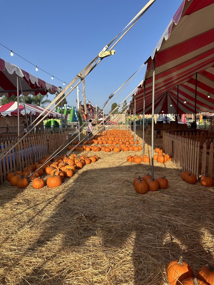 The Pumpkin Patch Logo