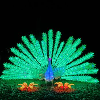 Franklin Park Zoo - Boston lantern festival - Zoos Near Me - Boston, Massachusetts Franklin Park Zoo - Boston lantern festival - Zoos Near Me - Boston, Massachusetts
